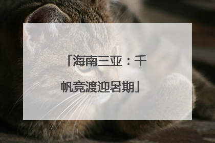 海南三亚：千帆竞渡迎暑期