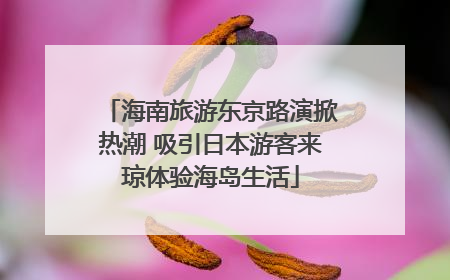 海南旅游东京路演掀热潮 吸引日本游客来琼体验海岛生活