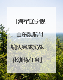 海军辽宁舰、山东舰航母编队完成实战化训练任务