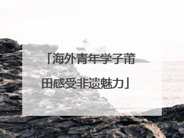 海外青年学子莆田感受非遗魅力