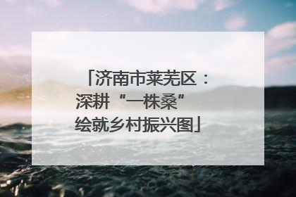 济南市莱芜区：深耕“一株桑” 绘就乡村振兴图