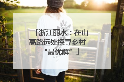 浙江丽水：在山高路远处探寻乡村“最优解”