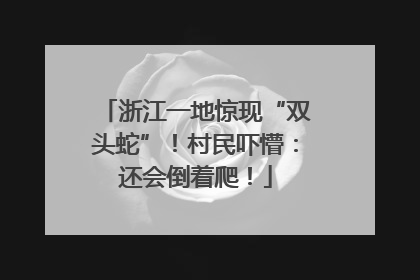 浙江一地惊现“双头蛇”！村民吓懵：还会倒着爬！