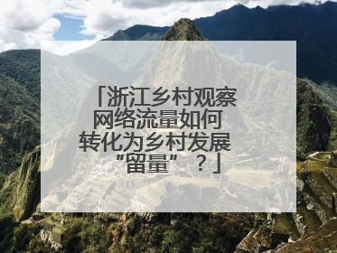 浙江乡村观察 网络流量如何转化为乡村发展“留量”？