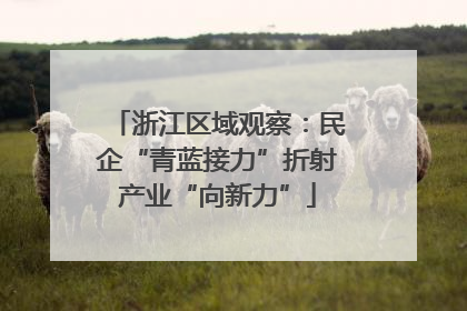 浙江区域观察：民企“青蓝接力”折射产业“向新力”
