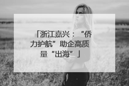 浙江嘉兴：“侨力护航”助企高质量“出海”