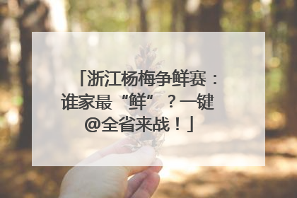 浙江杨梅争鲜赛：谁家最“鲜”？一键@全省来战！