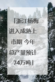 浙江杨梅进入成熟上市期 今年总产量预计74万吨