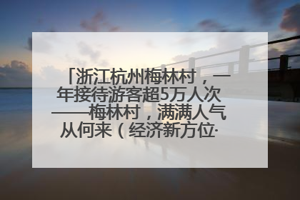 浙江杭州梅林村，一年接待游客超5万人次——梅林村，满满人气从何来（经济新方位·农村消费观察）