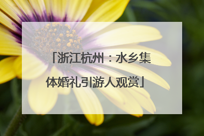 浙江杭州：水乡集体婚礼引游人观赏