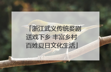 浙江武义传统婺剧送戏下乡 丰富乡村百姓夏日文化生活