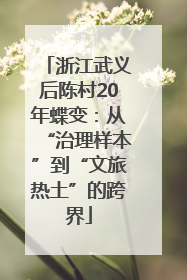 浙江武义后陈村20年蝶变：从“治理样本”到“文旅热土”的跨界