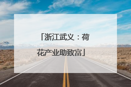 浙江武义：荷花产业助致富
