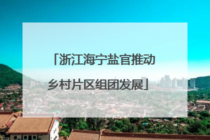 浙江海宁盐官推动乡村片区组团发展
