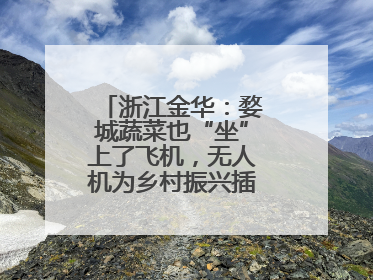 浙江金华：婺城蔬菜也“坐”上了飞机，无人机为乡村振兴插上“翅膀”