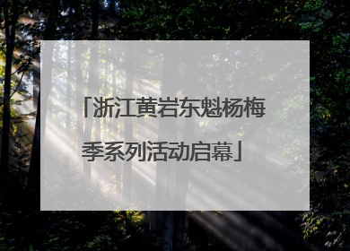 浙江黄岩东魁杨梅季系列活动启幕