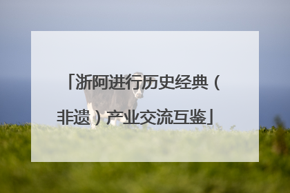 浙阿进行历史经典（非遗）产业交流互鉴