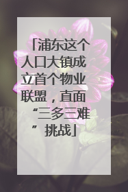 浦东这个人口大镇成立首个物业联盟，直面“三多三难”挑战