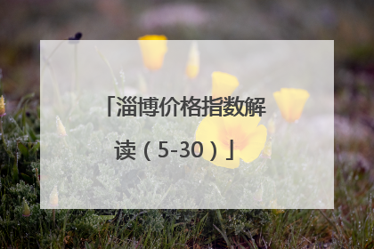 淄博价格指数解读（5-30）