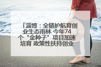 淄博：全链护航育创业生态雨林 今年74个“金种子”项目加速培育 政策性扶持创业9754人