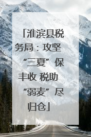淮滨县税务局：攻坚“三夏”保丰收 税助“弱麦”尽归仓