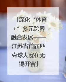 深化“体育+”多元跨界融合发展——江苏省首届匹克球大赛在无锡开赛
