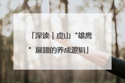 深读｜虞山“雄鹰”展翅的养成逻辑