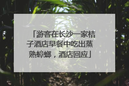 游客在长沙一家桔子酒店早餐中吃出蒸熟蟑螂，酒店回应