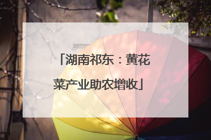 湖南祁东：黄花菜产业助农增收