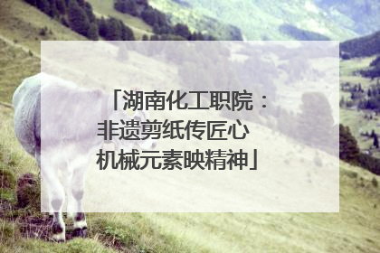 湖南化工职院：非遗剪纸传匠心 机械元素映精神