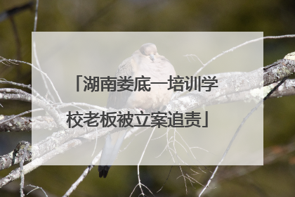 湖南娄底一培训学校老板被立案追责