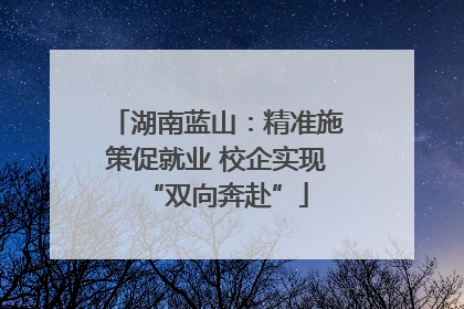 湖南蓝山：精准施策促就业 校企实现“双向奔赴”
