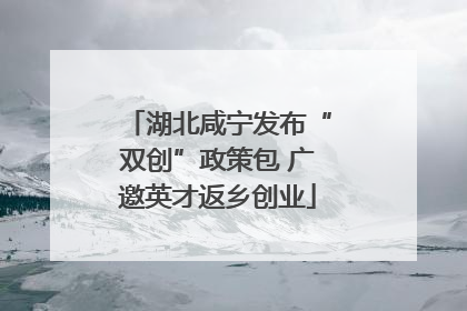 湖北咸宁发布“双创”政策包 广邀英才返乡创业