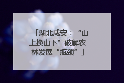 湖北咸安：“山上换山下”破解农林发展“瓶颈”