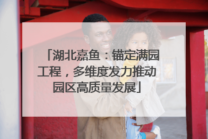湖北嘉鱼：锚定满园工程，多维度发力推动园区高质量发展