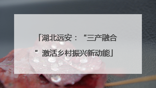 湖北远安：“三产融合”激活乡村振兴新动能