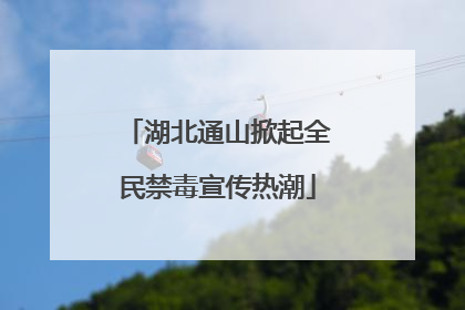 湖北通山掀起全民禁毒宣传热潮
