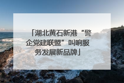 湖北黄石新港“警企党建联盟”叫响服务发展新品牌