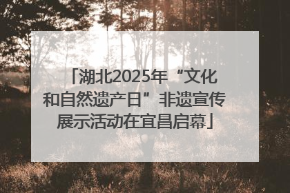 湖北2025年“文化和自然遗产日”非遗宣传展示活动在宜昌启幕