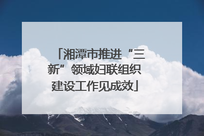 湘潭市推进“三新”领域妇联组织建设工作见成效