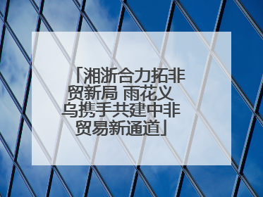 湘浙合力拓非贸新局 雨花义乌携手共建中非贸易新通道