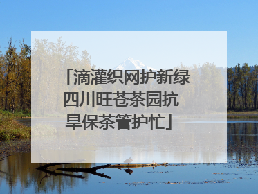 滴灌织网护新绿 四川旺苍茶园抗旱保茶管护忙