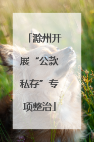 滁州开展“公款私存”专项整治