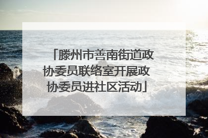 滕州市善南街道政协委员联络室开展政协委员进社区活动