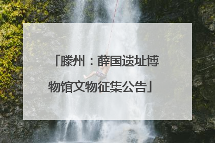 滕州：薛国遗址博物馆文物征集公告