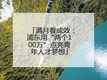 满月看成效：浦东用“两个100万”点亮青年人才梦想