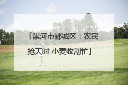 漯河市郾城区：农民抢天时 小麦收割忙