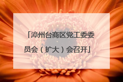 漳州台商区党工委委员会（扩大）会召开