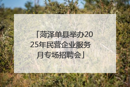 菏泽单县举办2025年民营企业服务月专场招聘会