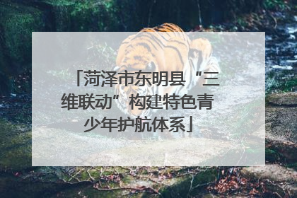 菏泽市东明县“三维联动”构建特色青少年护航体系